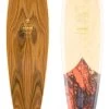 Arbor Fish Groundswell Longboard