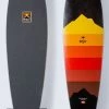 Arbor Artist Fish Longboard