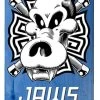 Birdhouse Jaws Skull Skateboard Deck